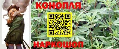 сатива Нарткала