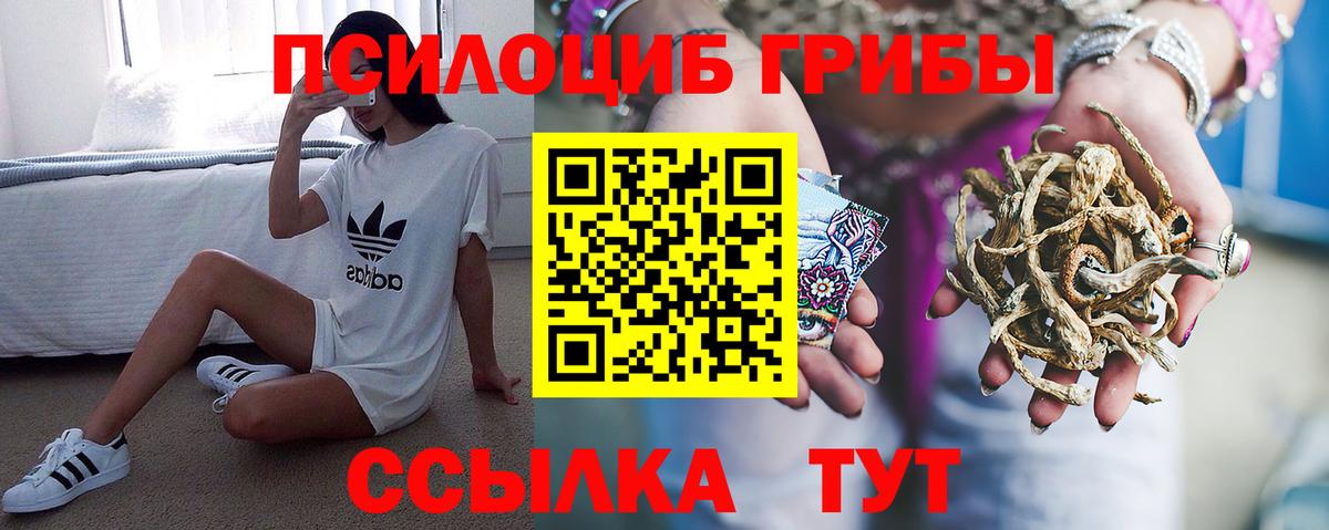 Галлюциногенные грибы Psilocybe  Галлюциногенные грибы ЛСД  купить закладку  Вход с VPN  Арсеньев 